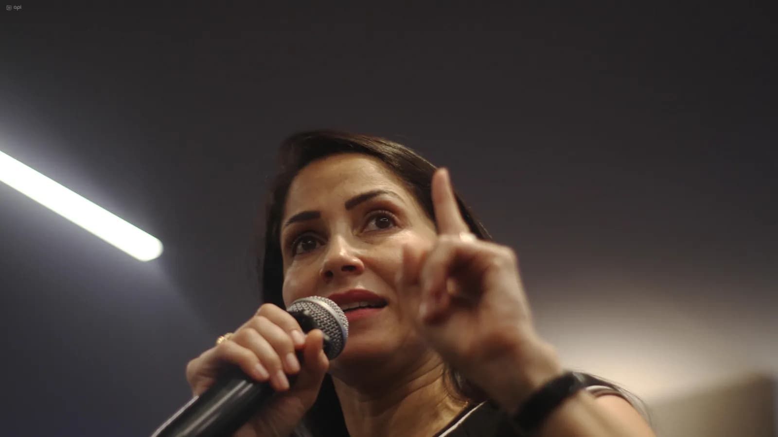 Abogado de Luisa González apela su prisión preventiva en