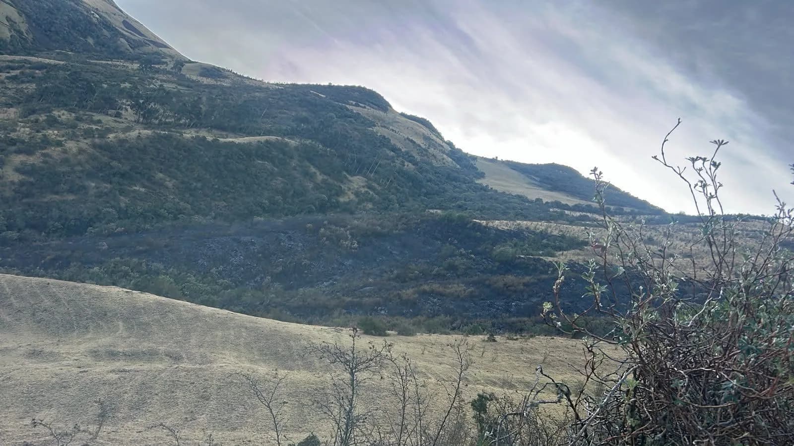 Bomberos controla incendio forestal en San Agustín tras