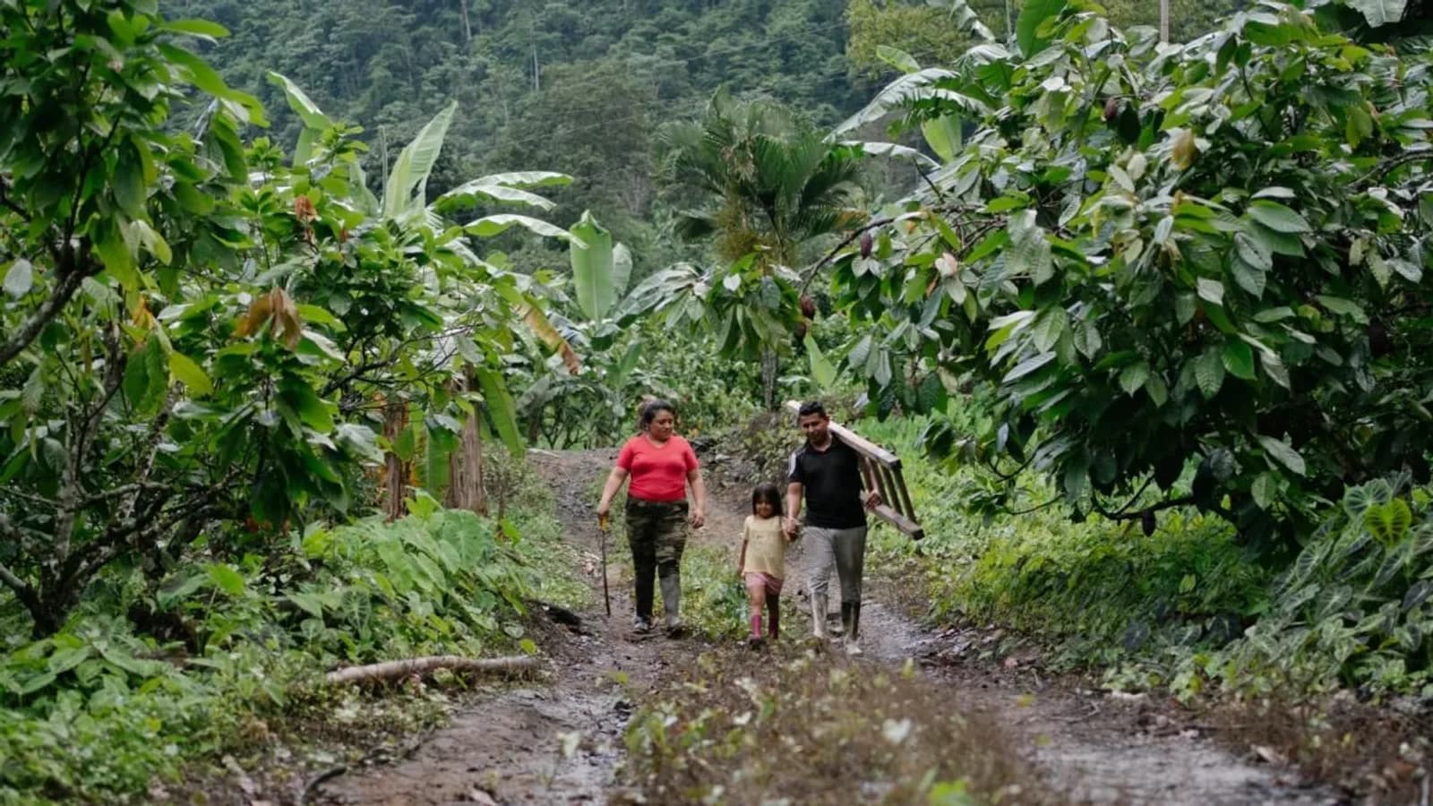 390.000 menores en riesgo por El Niño severo en Ecuador